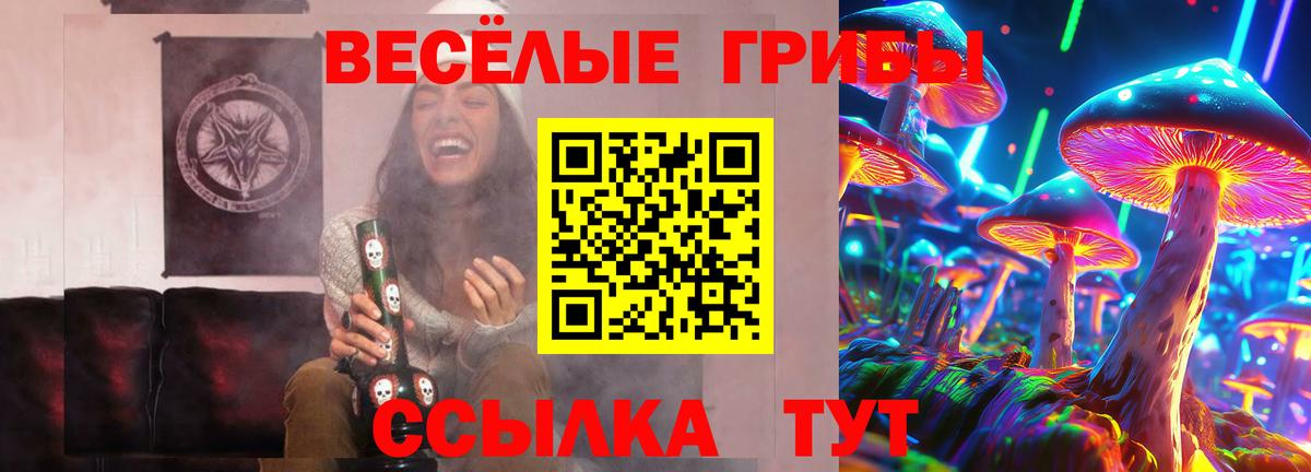 Псилоцибиновые грибы MAGIC MUSHROOMS  Вход с VPN  Алатырь 