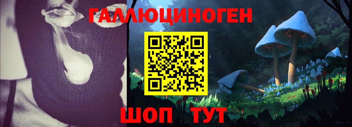 Галлюциногенные грибы MAGIC MUSHROOMS Алатырь